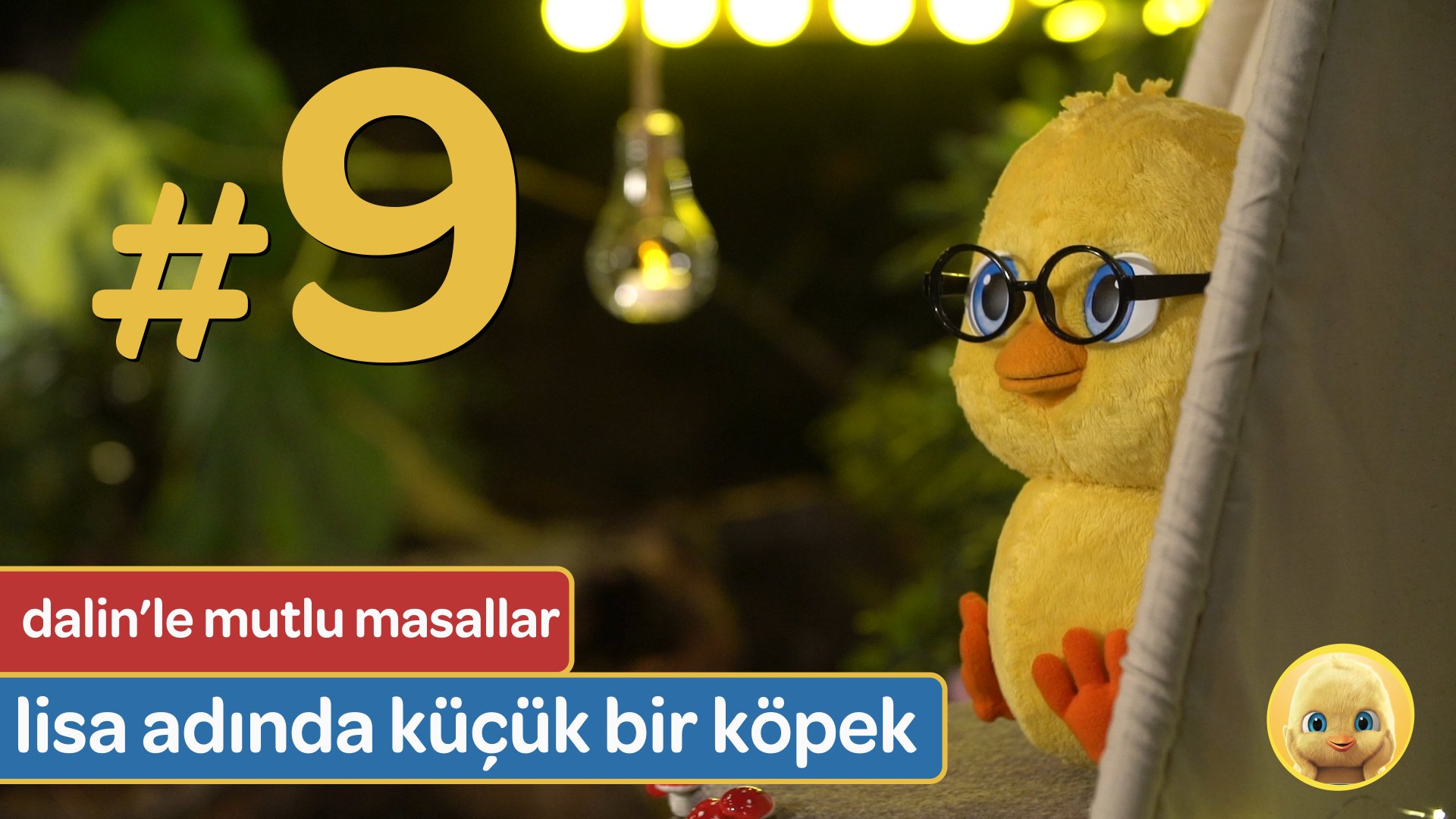 lisa adında küçük bir köpek